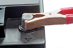 Startkabel_Heike Brauer_SSP_image_582236.jpg